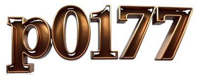 p0171 logo